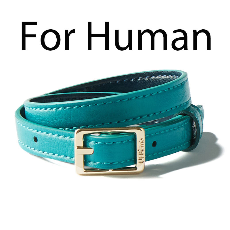 Personalized Designer with Bell Stretchy PU Leather Luxury Pet Collar Cat Collar