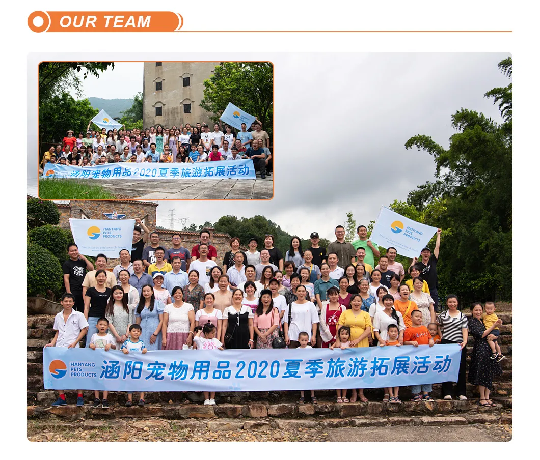 Sizing Chart Reference