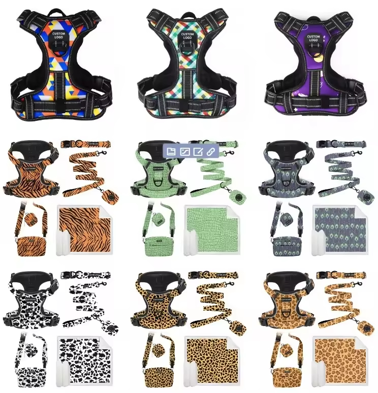 Reflective Chic - Style Minimalist - Design Vintage - Look Pet Leash Set