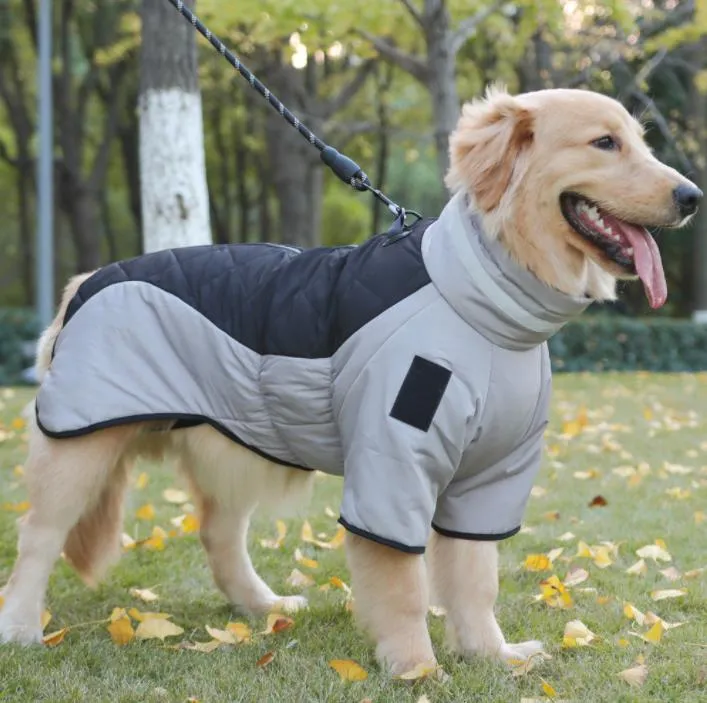 Pet Collar Parameter 3