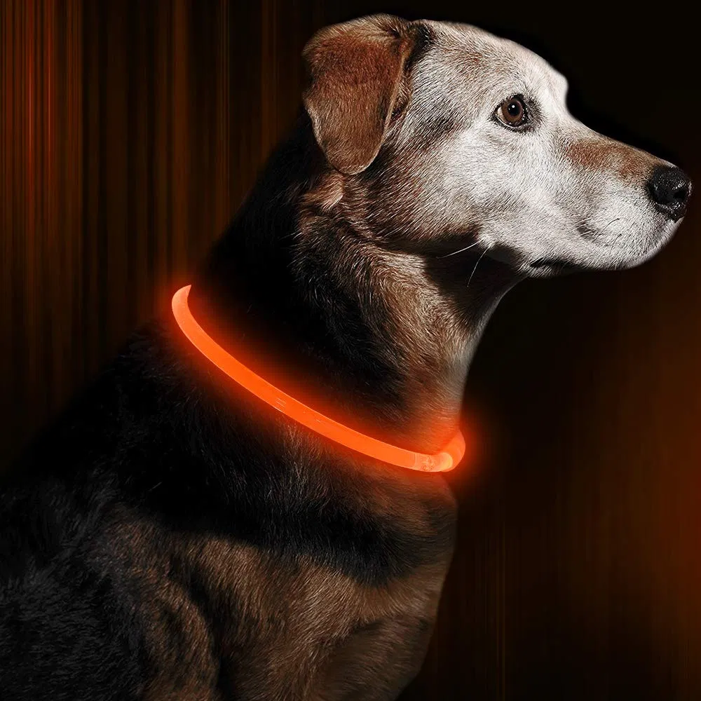 LED Dog Collar, Bseen USB Rechargeable Flash Dog Necklace Light for Small Medium Large Dogs