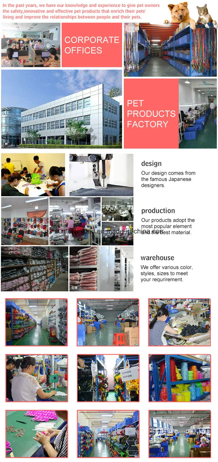 LED Dog Collar Full Range