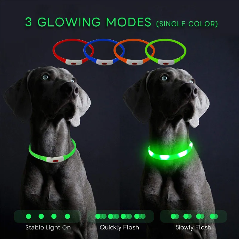 Pet Glowing Accessories 4