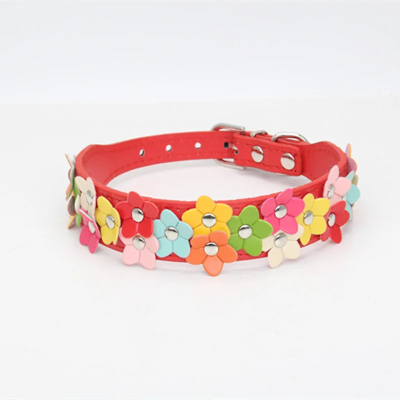 Pet Collar Detail 5