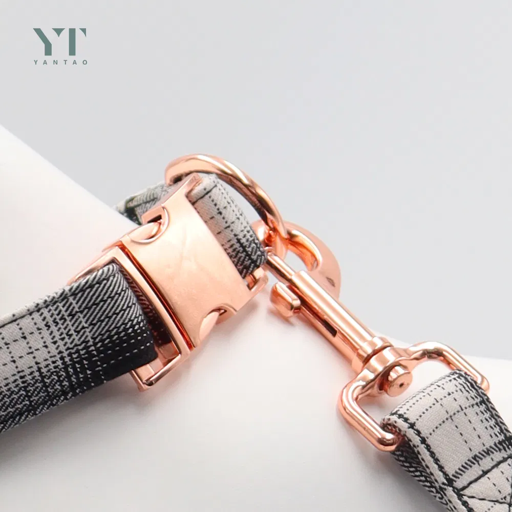Custom Luxury Pet Supplies Fabric Designer Cotton Dog Leash and Collar Set Metal Buckle Dog Leash and Collar for Dogs