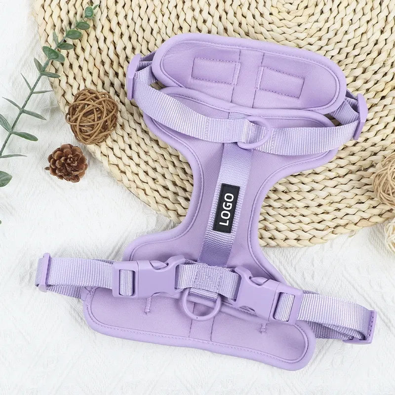 Dog Safety Harness Blue