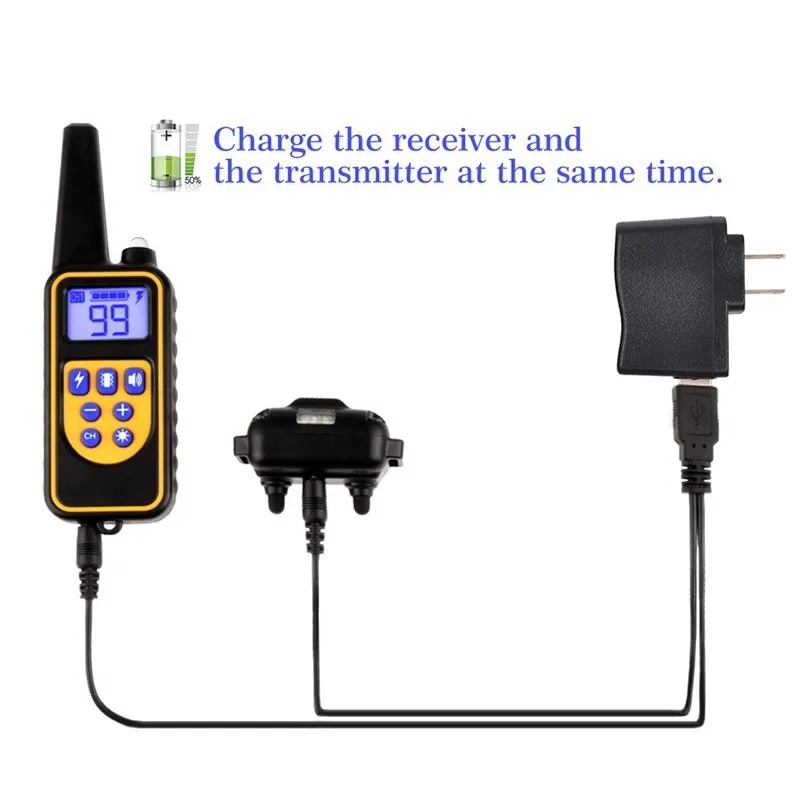 Dog Training Collar 6