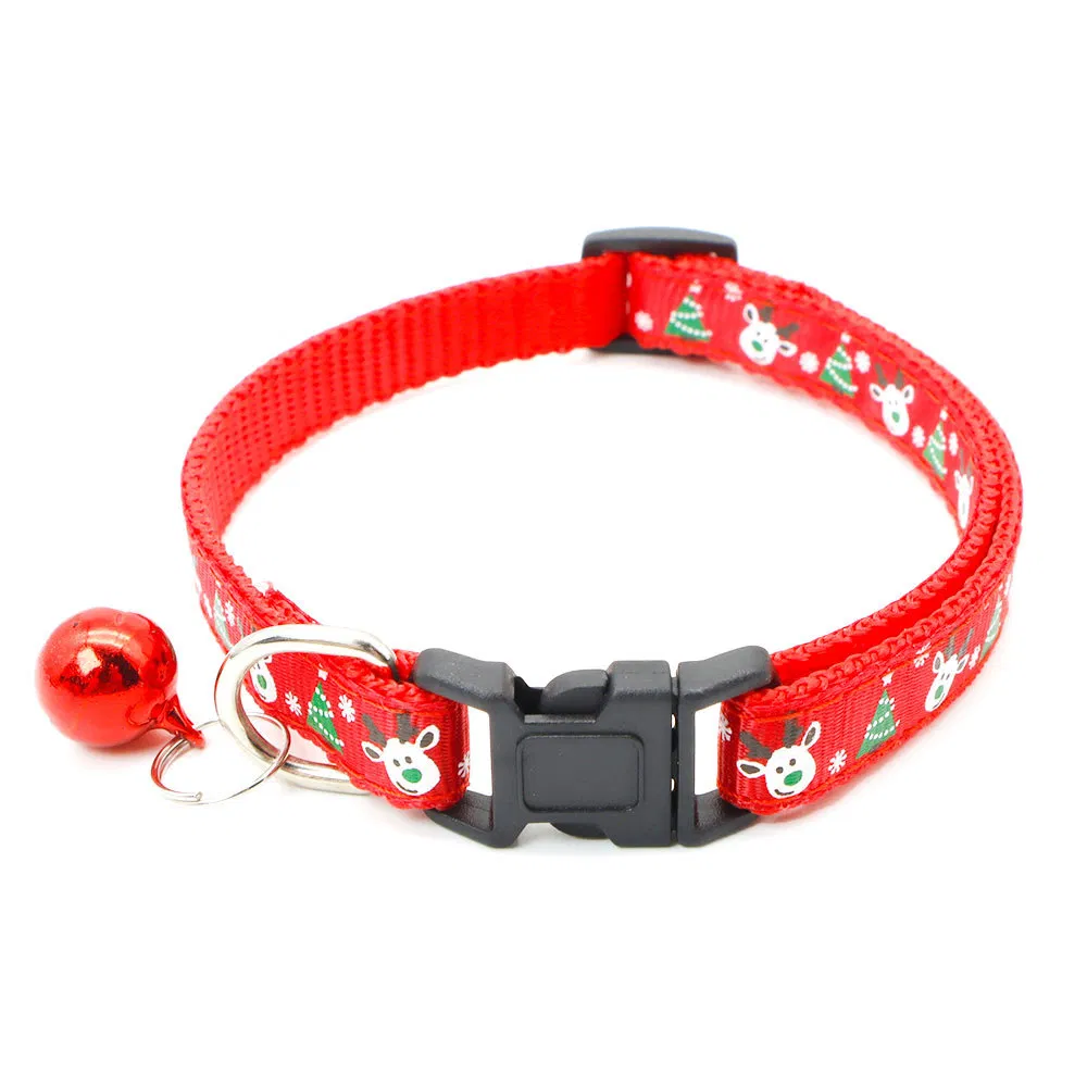 Pet Collar Close-up