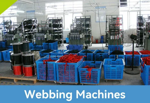 Reflective Collar View 8