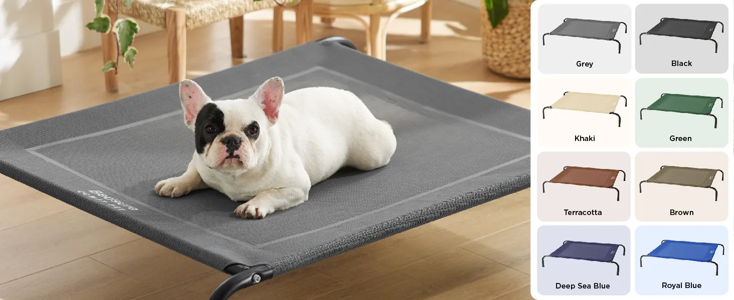 Elevated Dog Bed 1
