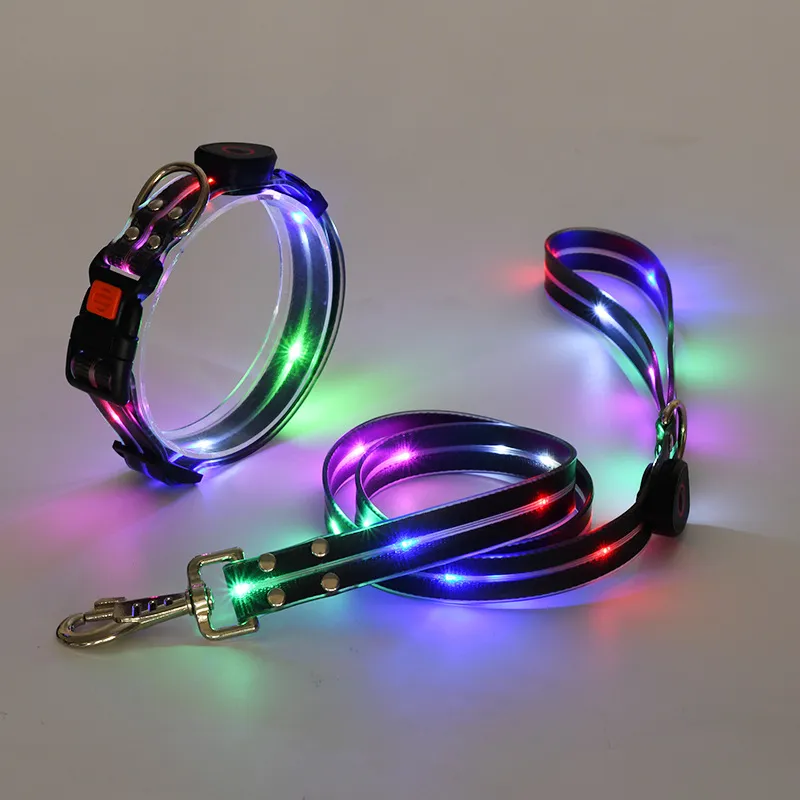 LED Dog Collar 3