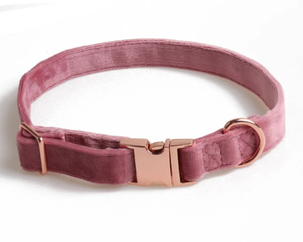 Purple Pet Collar