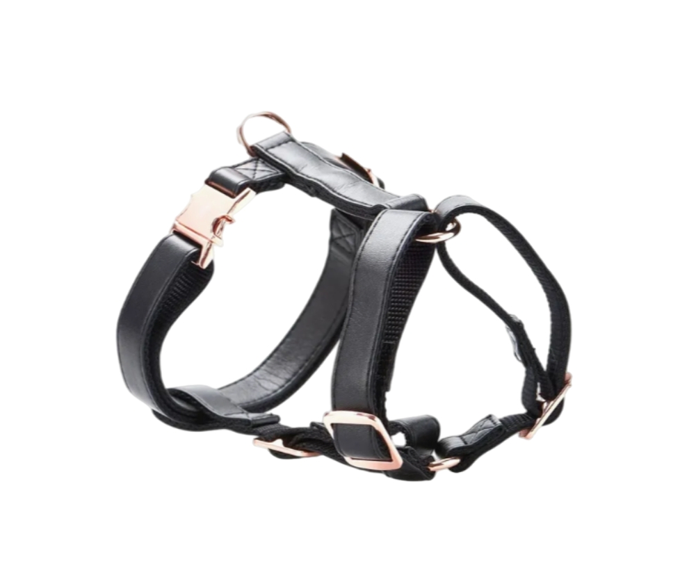 Stylish Adjustable Faux Leather Dog Harness for Trendy Pets