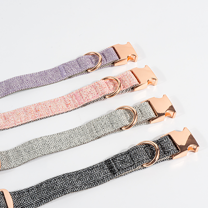 Hot Sale Rose Gold Buckle Clip Custom Color Pet Collar in Stock Adjustment Size Dog Collar and Leash Set