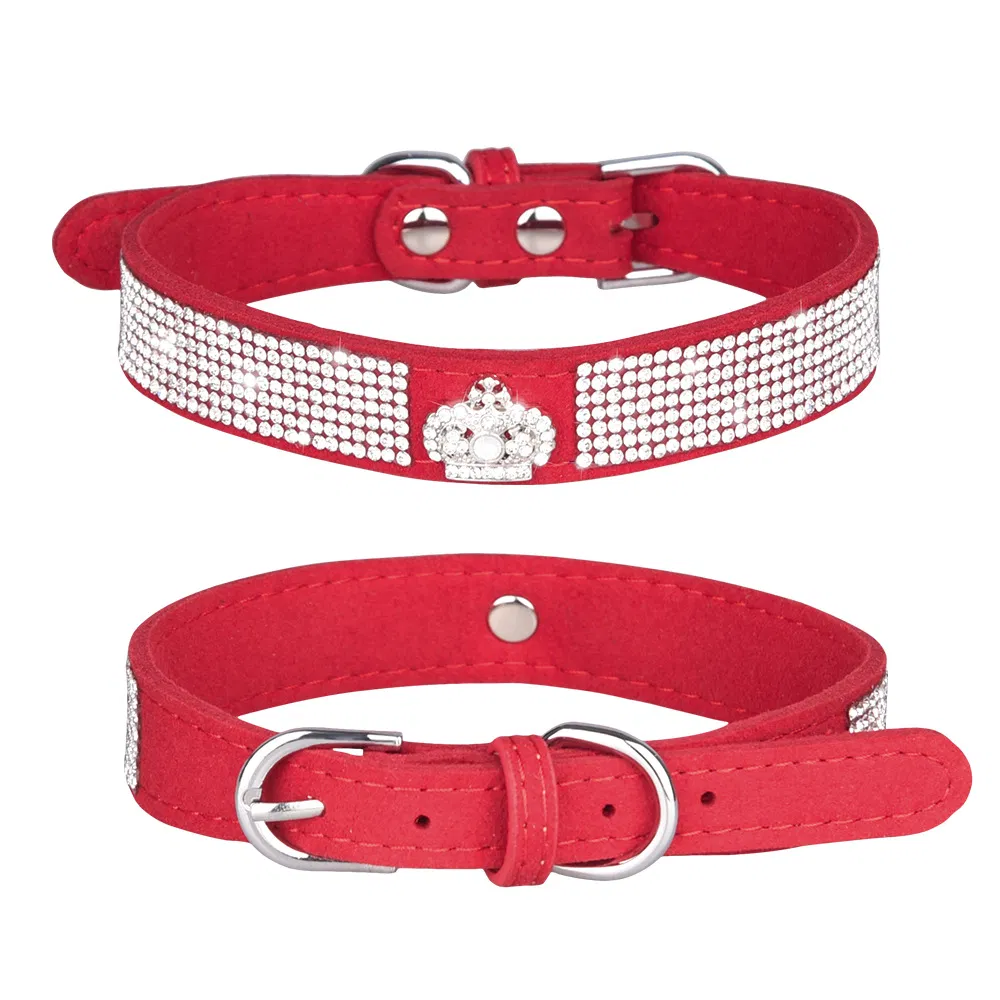 Pet Collar Detail 6