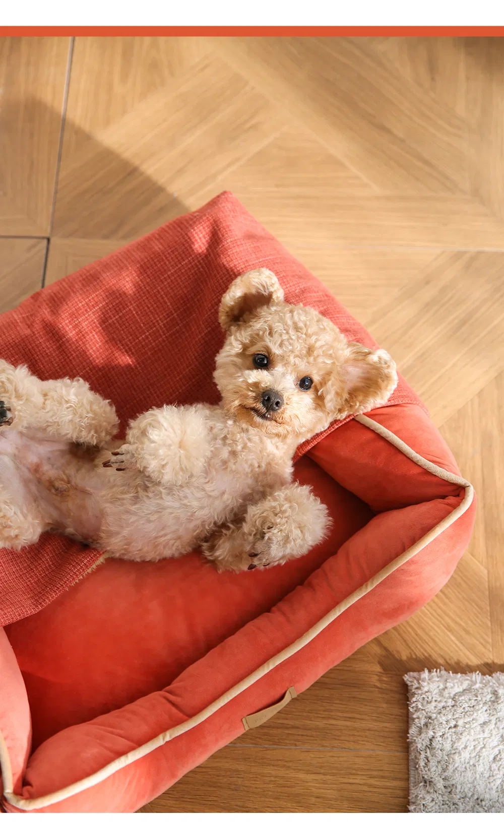 Puppy Cat Cave Blanket