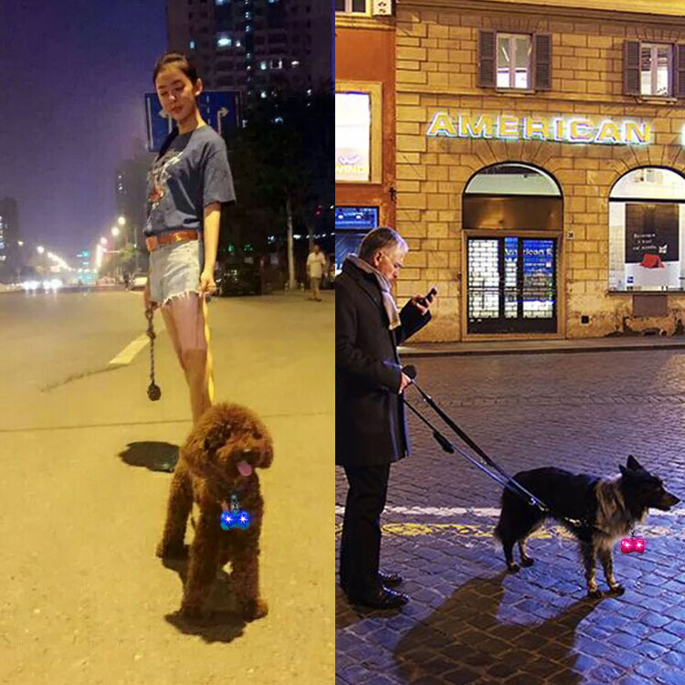 Vibrant LED Dog Bone Shaped Pendant Light for Pets