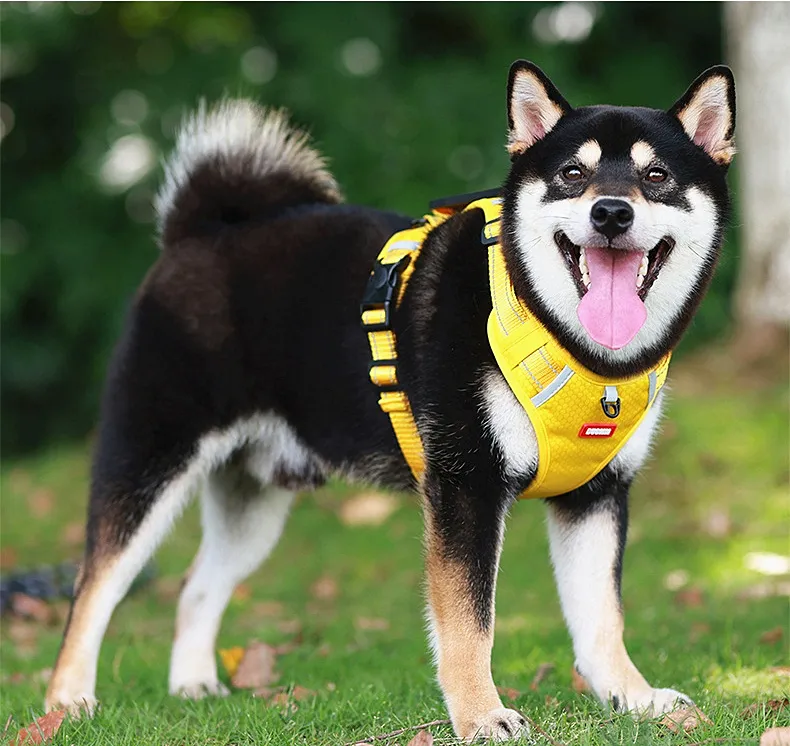Pet Harness Description