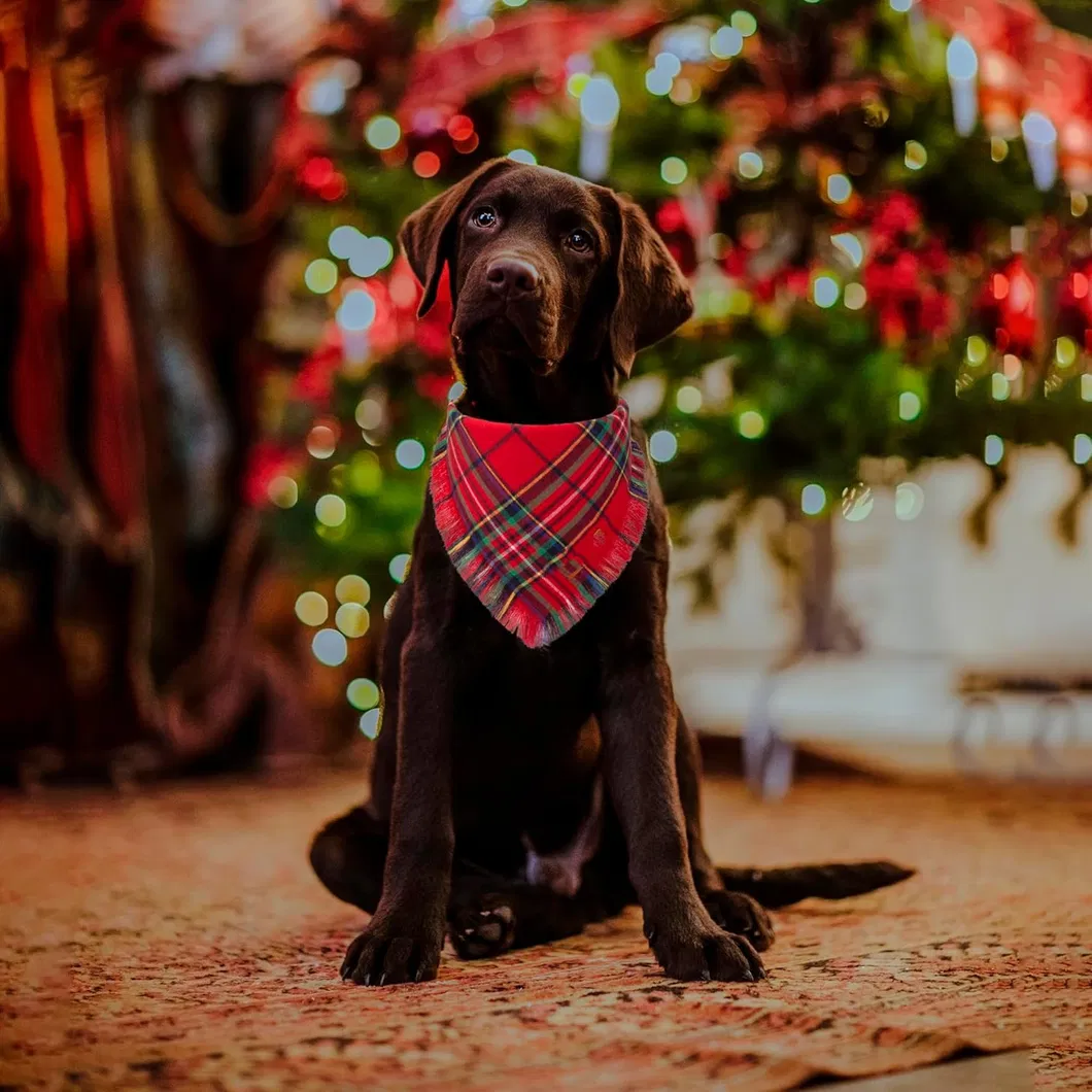 Dog Bandana Plaid View 2