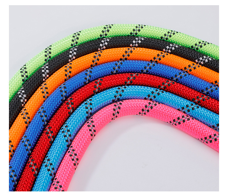 Reflective Pet Leash &amp; Lead Dog Harness