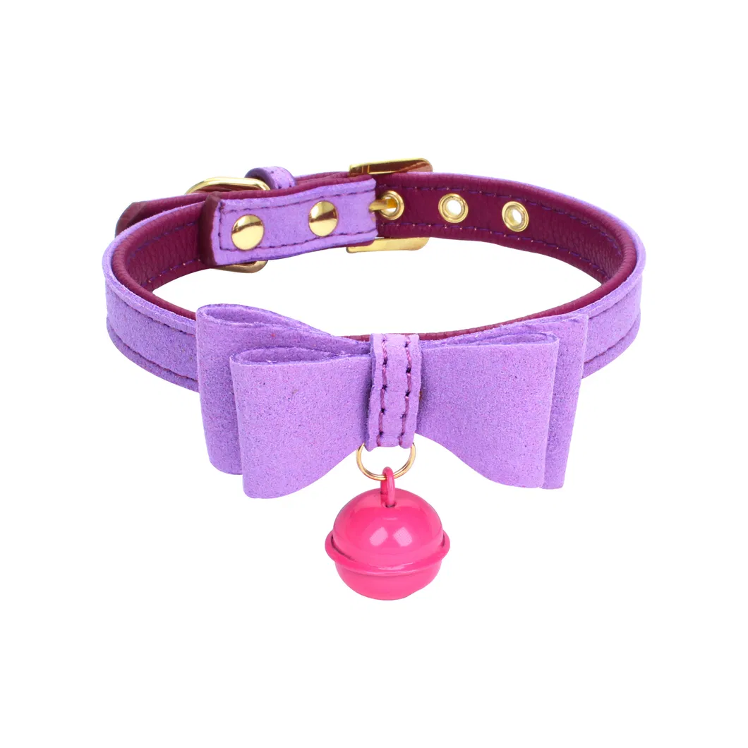 Pet Collar View 6