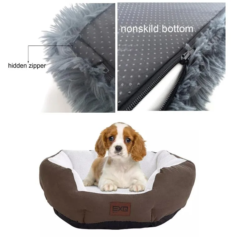 Pet Accessories