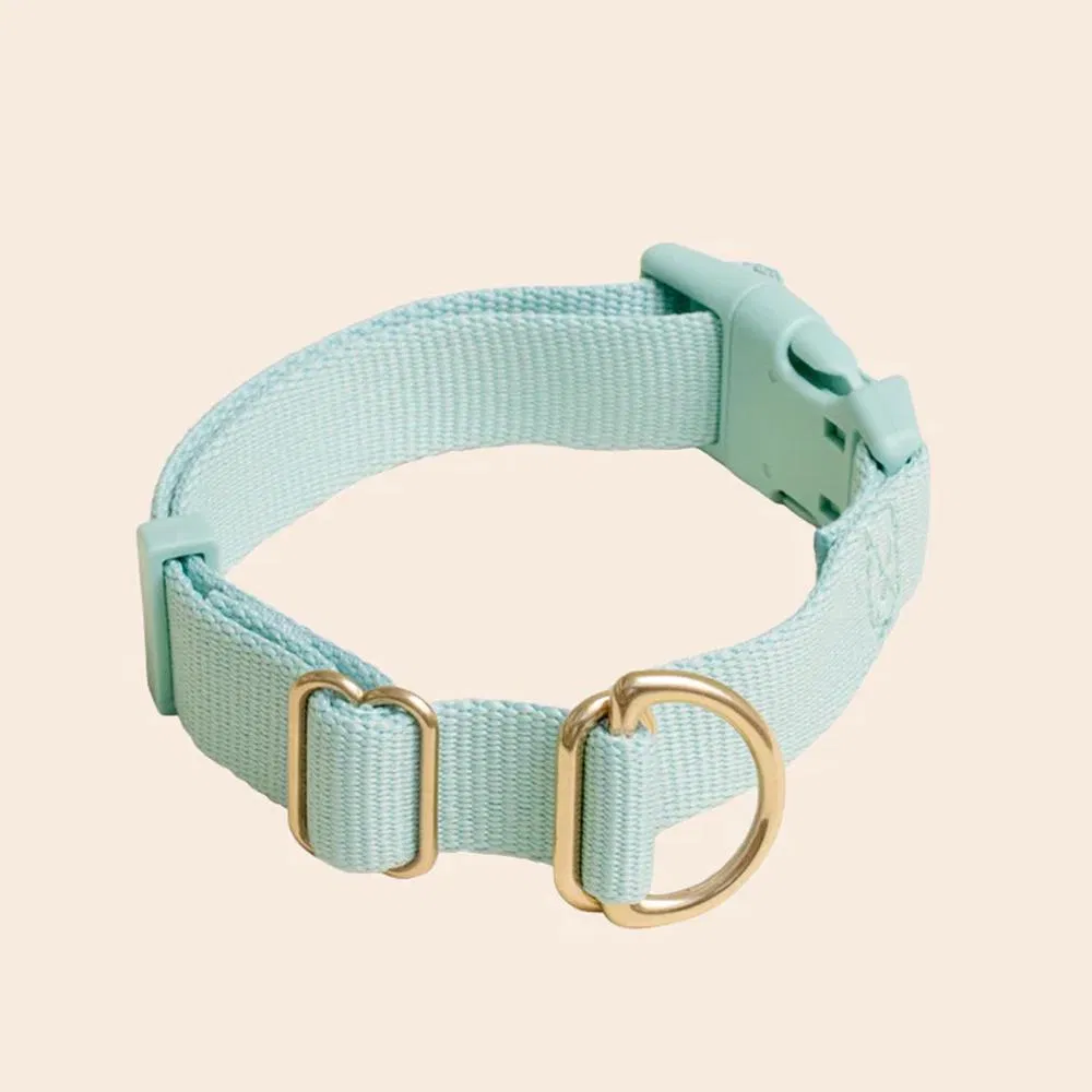 Hot Selling Premium Adjustable Stylish Durable Nylon Pet Collar Strong Safety Locking Buckles for Any Size Breed