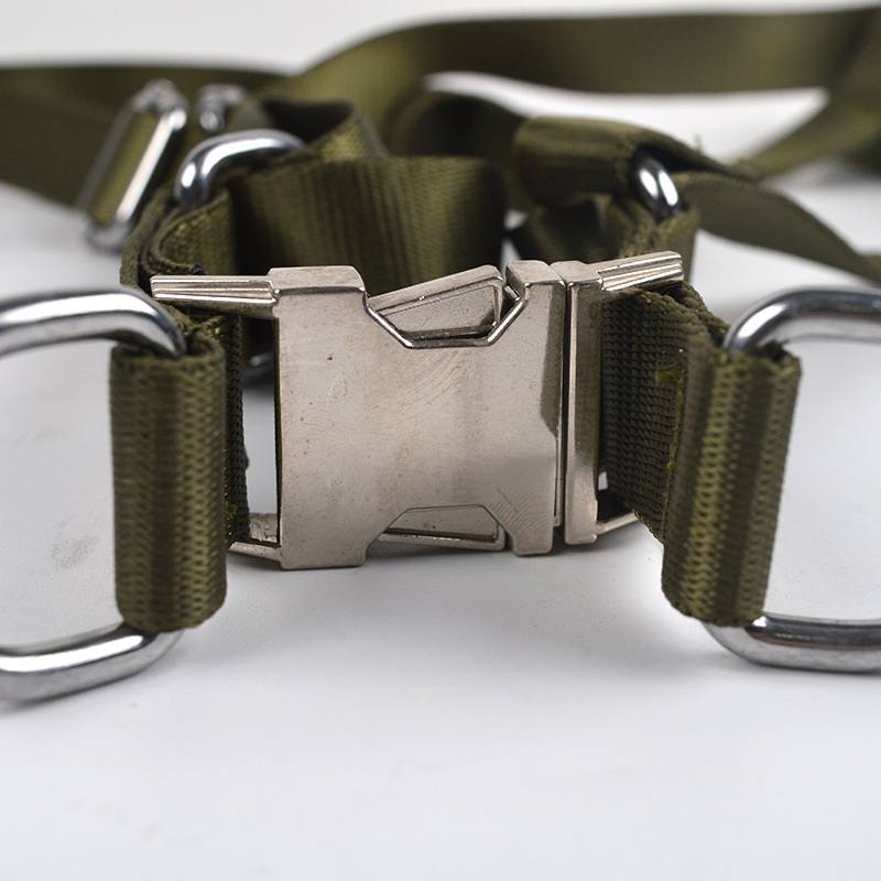 Custom Personalized Luxury Pet Harness Set with Collar Leash