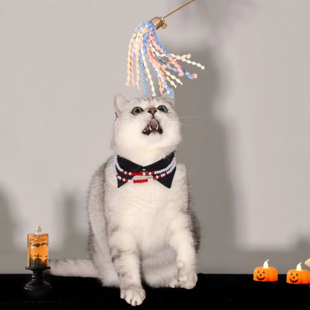 Fashion Pearl Halloween Style Pet Dog Collar Lovely Dog Cat Necklace Pet Accessories Supplies