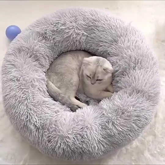 Pet Bed 12