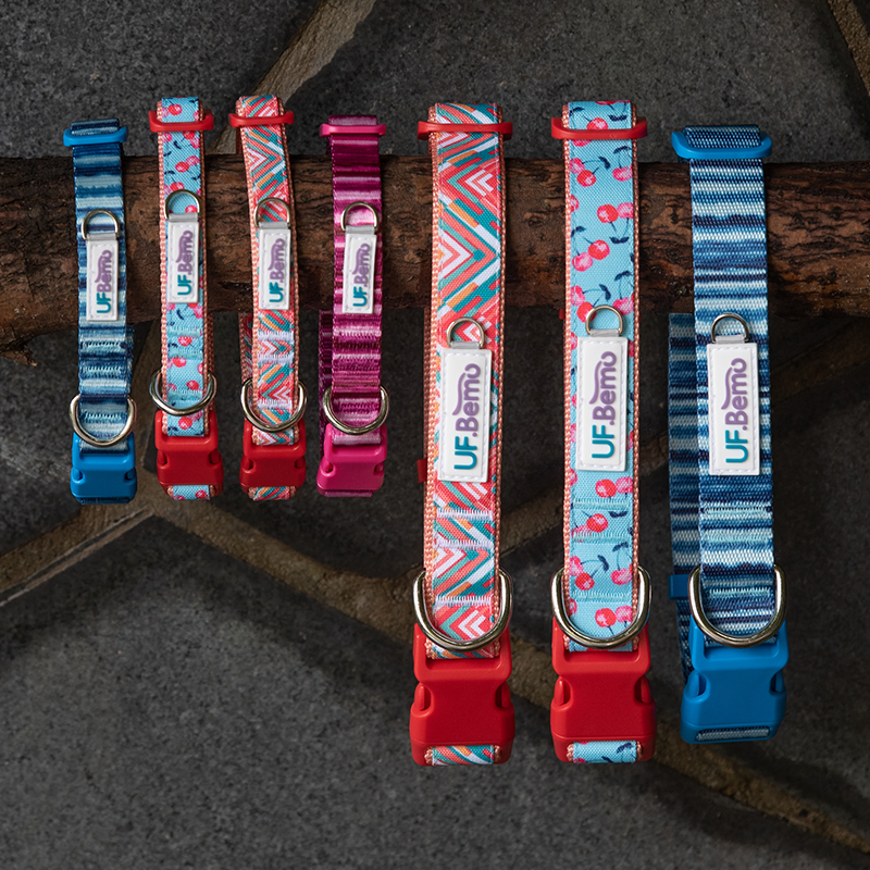 Hot Sale Polyester Color Quick Release Buckle Pet Collar Dog Collar