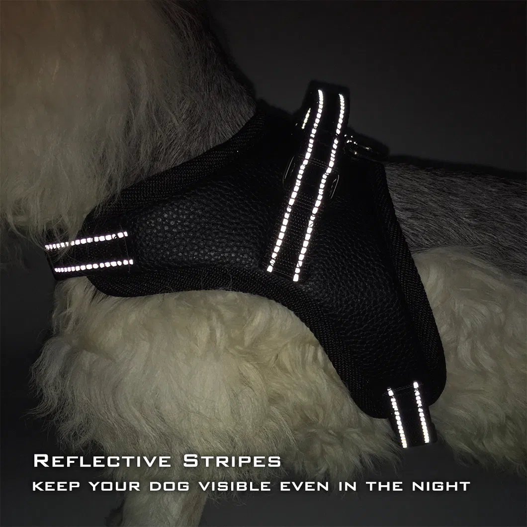 Dog Harness View 4
