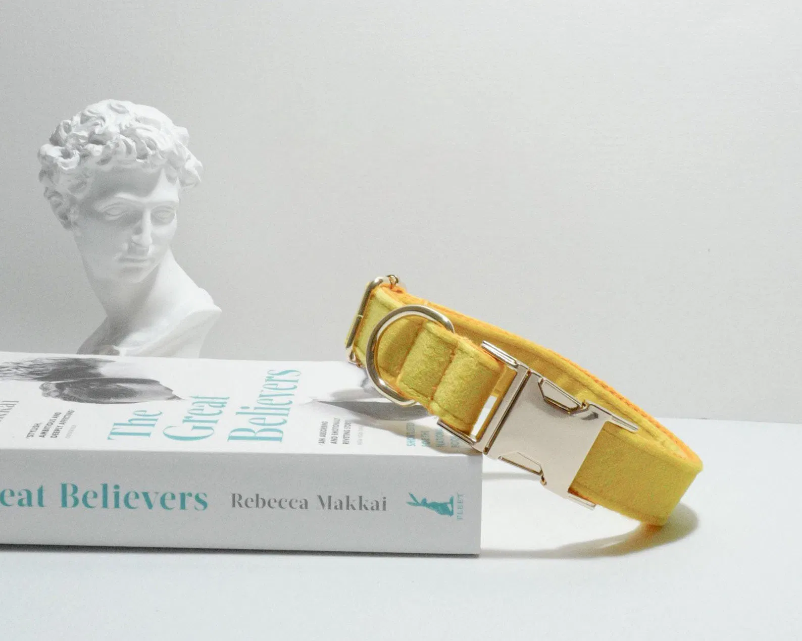 Hanyang Personalized Popular Custom Eco-Friendly Cotton Dog Leash Pet Collars with Cute Bowknot