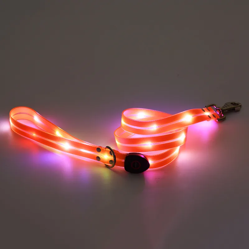 LED Dog Collar 5
