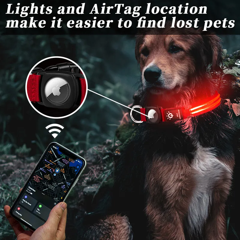 Adjustable LED Collar