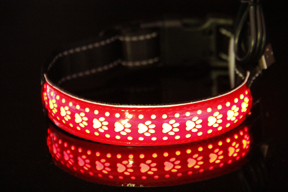 LED Pet Luminous Collar, Nighttime Pet Flashing Neckband, Leather Carved Fiber Optic Glowing Collar Directly Supplied by Manufacturers