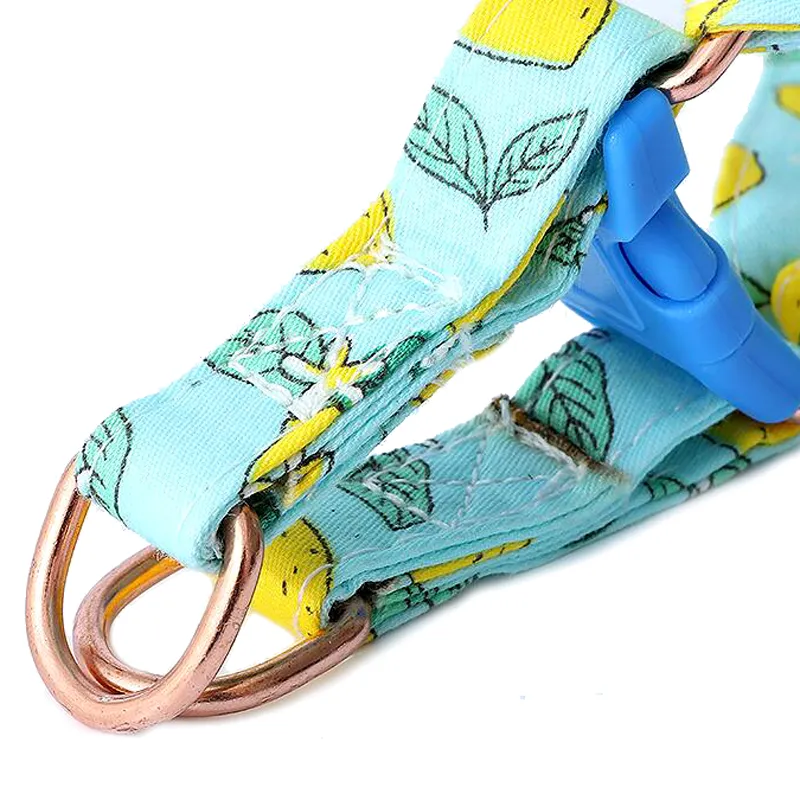 Rainbow Dog Harness Variety 3