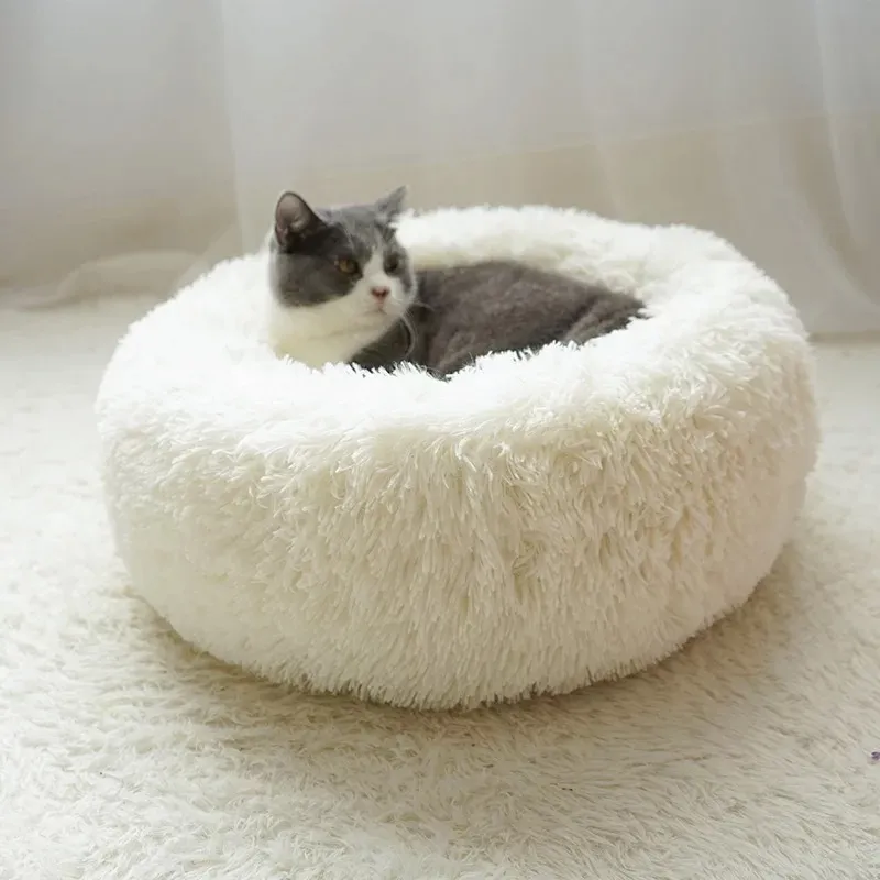 Pet Bed 7