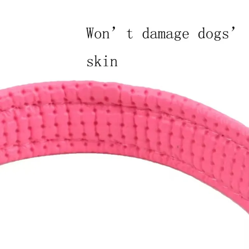 Reflective Collar View 5