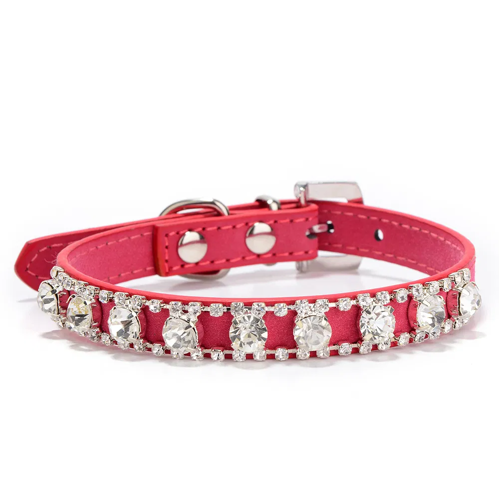Luxury Dog Collar View 6