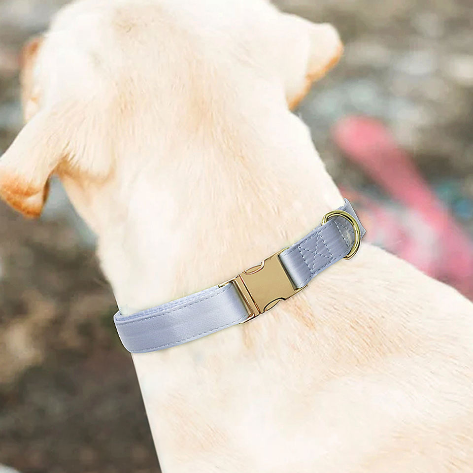 Personalized Dog Collar with Name Plate Adjustable Tough Nylon Customized Number Engraved ID Collar on The Metal Plate Buckle