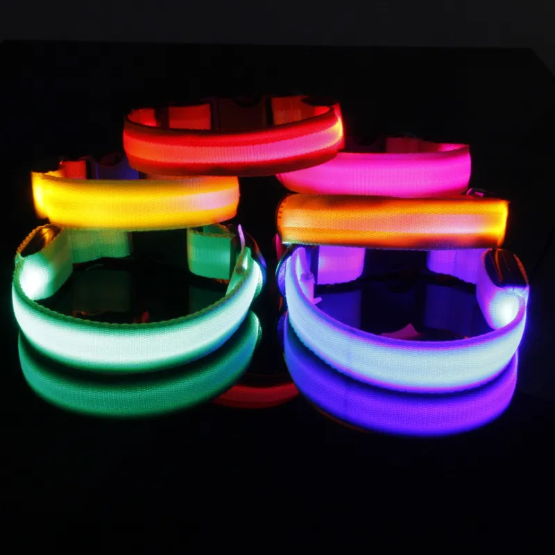 LED Collar 1
