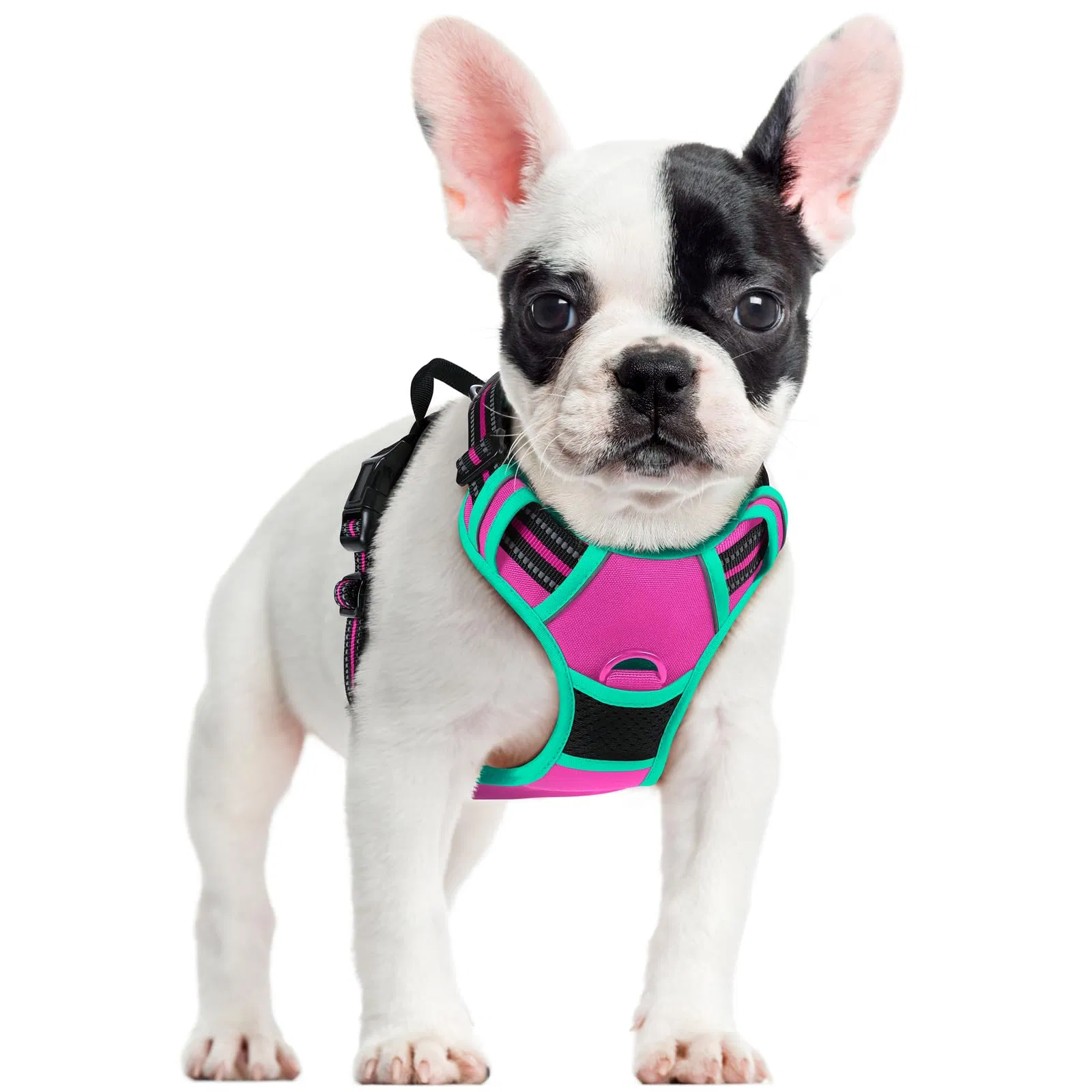 Dog Harness No Pull with 2 Leash Clips, Adjustable Soft Padded, Reflective Oxford No Choke Pet Vest with Easy Control Handle for Large Dogs