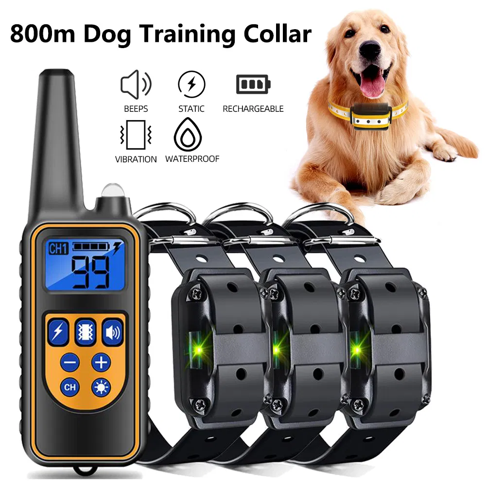 Dog Training Collar 3