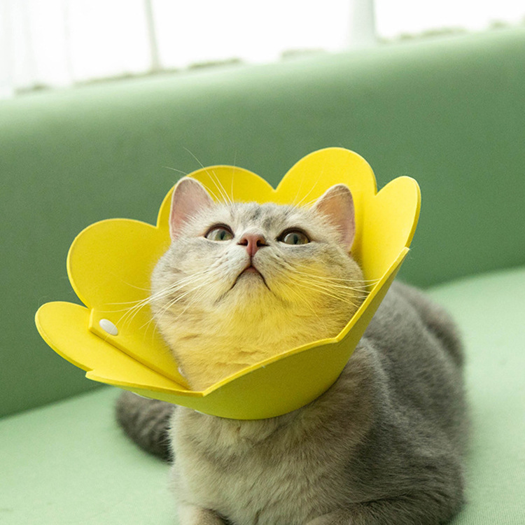 Pet Products Wholesale Sunflower Elizabethan Ring Cat Color Anti-Licking Collar
