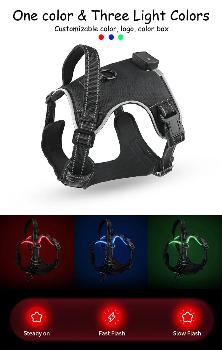 LED Dog Harness Detail 2