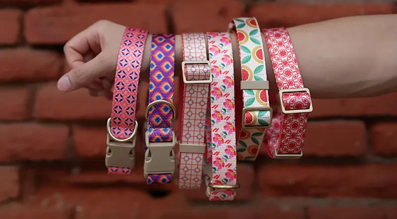 New Design Orange Tulip Adjustable Pet Dog Collar