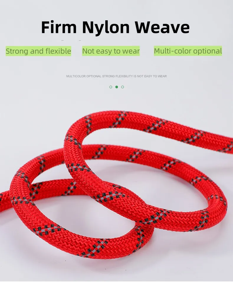 Reflective Pet Leash 3