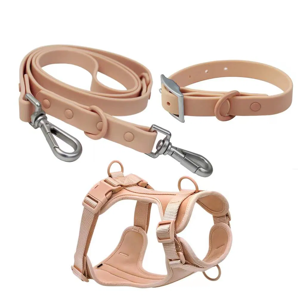 Dog Collar Leash Set
