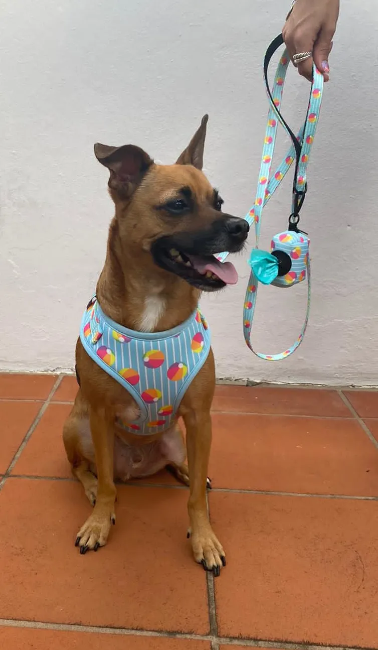 Dog Harness Detail 2